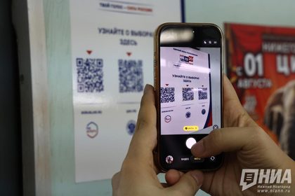 Дистанционное электронное голосование на выборах 2026 года в Нижегородской области