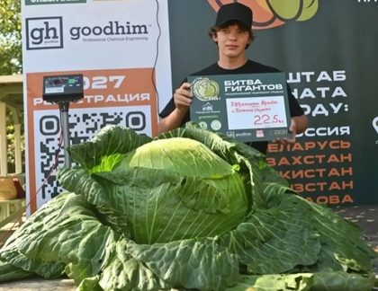 Ефремычев Артём с выращенной капустой
