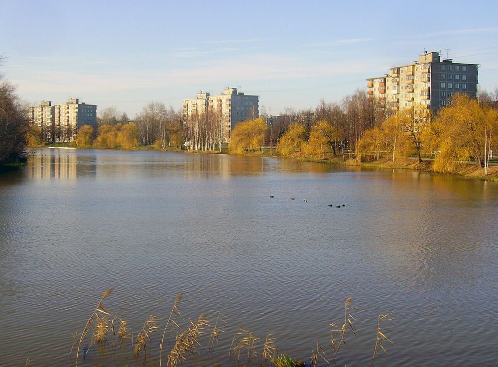 Микрорайон Дарьино в Сормовском районе Нижнего Новгорода