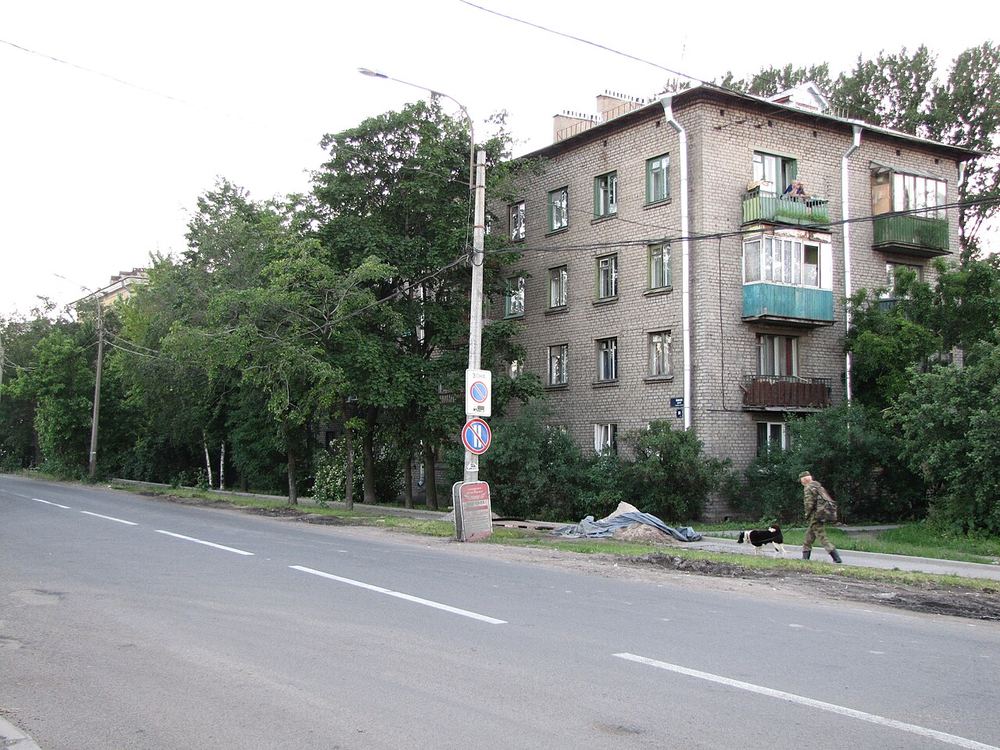 Южное шоссе, жилая застройка вдоль дороги