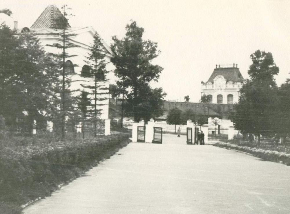 Кремль аллея ворота здания 1950-е