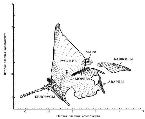 Mari, Mordvins , Russians . Variability of the Eastern European gene pool in the space of principal components (arrows mark the centers of gravity of the "ethnic clouds"). Limborsk