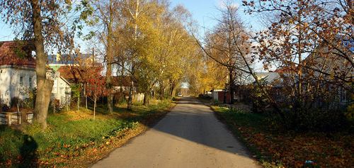 a street in Ankudinovka