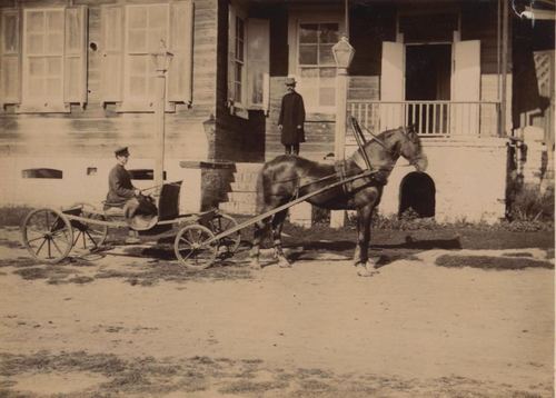 A carriage near the manor house in Bykovka