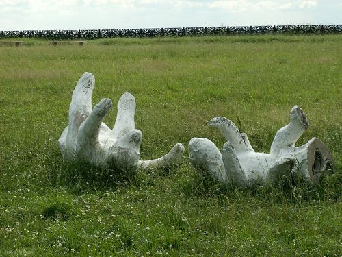 Bear sculpture