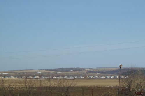 Село Трофимово