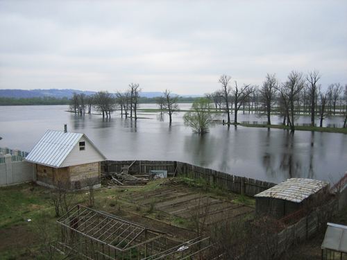 Flood at the mouth of the Sovets River